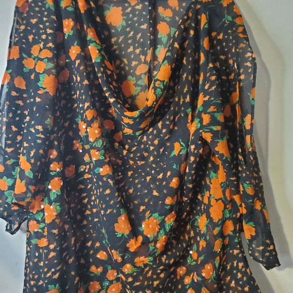 Stunning  Sheer Floral Blouse - Picture 2 of 8